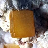 Wulfenite