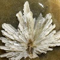 Baryte