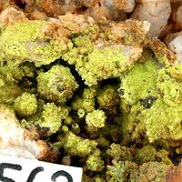 Pyromorphite