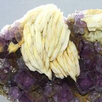 Fluorite With Baryte