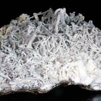 Aragonite Var Flos Ferri