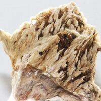 Baryte With Fluorite