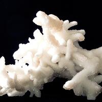 Aragonite