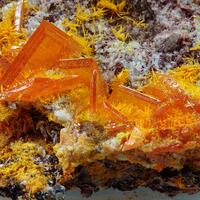 Wulfenite & Mimetite