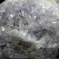 Creedite