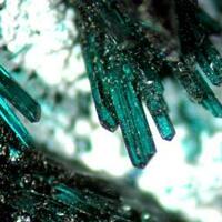 Atacamite With Olivenite Pseudomalachite & Picropharmacolite