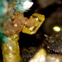 Molybdofornacite With Wulfenite