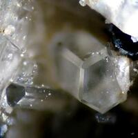 Pitiglianoite With Liottite