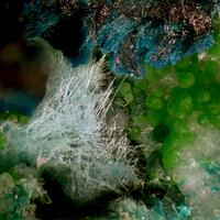 Gilmarite Conichalcite & Manganoan Olivenite