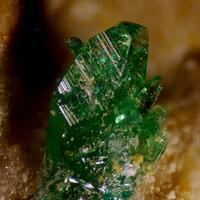 Natrochalcite & Atacamite