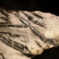 Stibnite & Gypsum