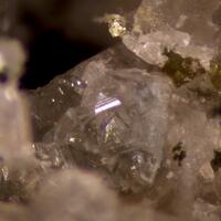 Farneseite & Andradite