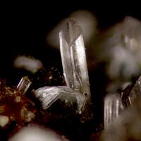 Diopside Grossular & Clinochlore