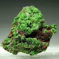 Conichalcite & Aragonite