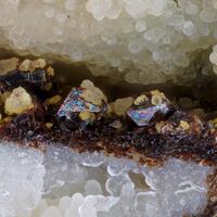 Reddingite Rockbridgeite & Fluorapatite