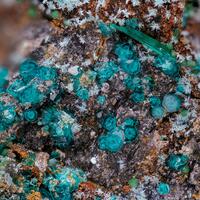 Spangolite Clinoatacamite & Brochantite