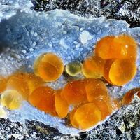 Phillipsite-K