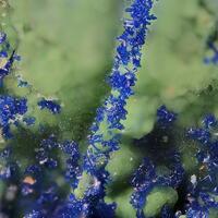 Azurite Zincolivenite