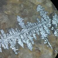 Quiroguite
