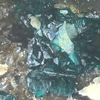 Paratacamite