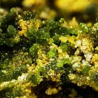 Gartrellite