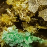 Parsonsite