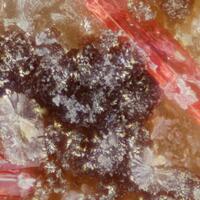 Smolyaninovite