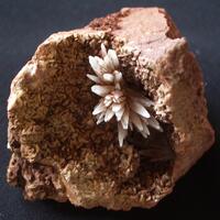 Aragonite