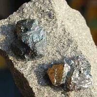 Bornite