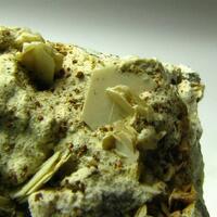 Tridymite