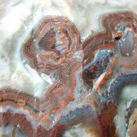 Chalcedony Var Coral Agate