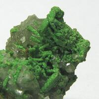 Cerussite & Bayldonite Psm Mimetite