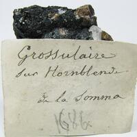 Grossular & Hornblende