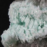 Apatite Psm Tarbuttite & Tarbuttite