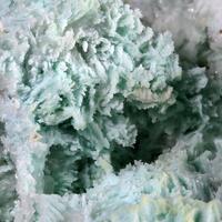 Apatite Psm Tarbuttite