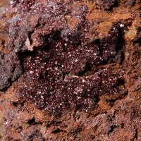 Lepidocrocite