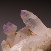 Amethyst & Quartz Var Sceptre