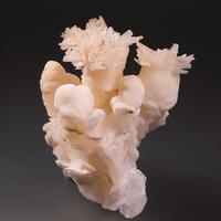 Calcite & Aragonite