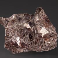 Muscovite