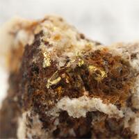 Gold With Limonite