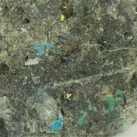 Gold With Boleite & Atacamite