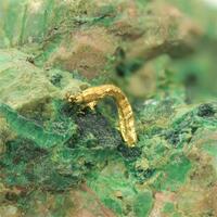 Gold With Malachite & Atacamite