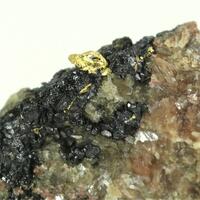 Gold With Uraninite Var Pitchblende