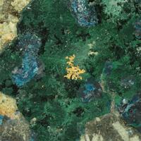 Gold With Boleite & Atacamite