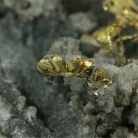 Gold With Arsenopyrite & Quartz & Calcite