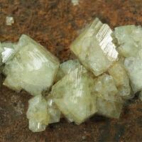 Wardite