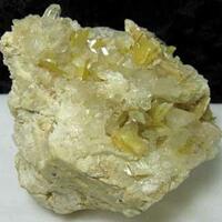 Muscovite