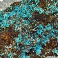 Chrysocolla Psm Hemimorphite