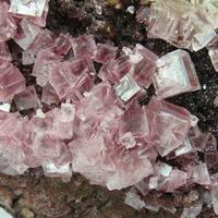 Halite