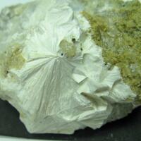 Pectolite